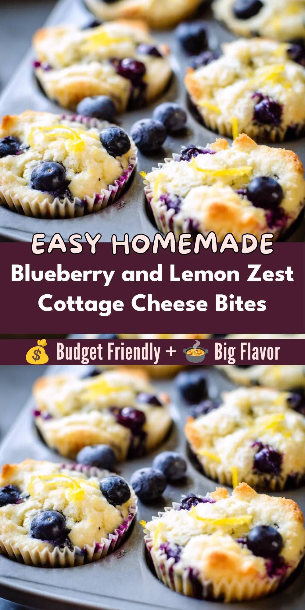 Blueberry and Lemon Zest Cottage Cheese Bites